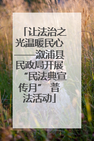 让法治之光温暖民心——溆浦县民政局开展“民法典宣传月” 普法活动