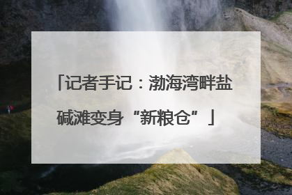 记者手记：渤海湾畔盐碱滩变身“新粮仓”