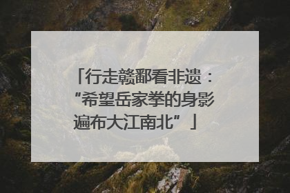 行走赣鄱看非遗：“希望岳家拳的身影遍布大江南北”