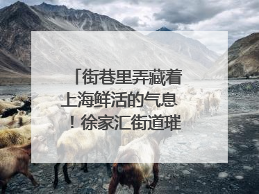 街巷里弄藏着上海鲜活的气息！徐家汇街道璀璨生活节启幕