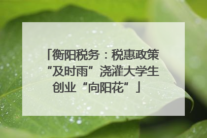 衡阳税务：税惠政策“及时雨”浇灌大学生创业“向阳花”