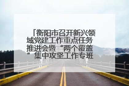 衡阳市召开新兴领域党建工作重点任务推进会暨“两个覆盖”集中攻坚工作专班 第一次会议