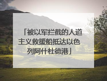 被以军拦截的人道主义救援船抵达以色列阿什杜德港