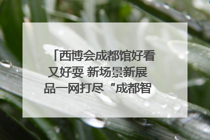 西博会成都馆好看又好耍 新场景新展品一网打尽“成都智造”｜西博视界