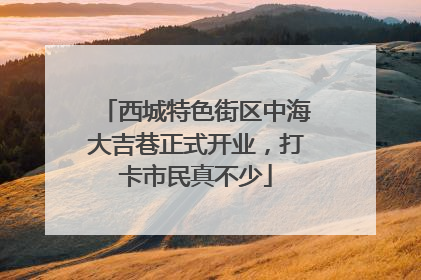 西城特色街区中海大吉巷正式开业，打卡市民真不少
