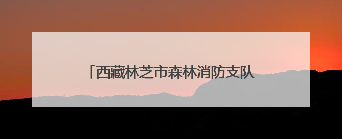 西藏林芝市森林消防支队组织开展车辆安全教育