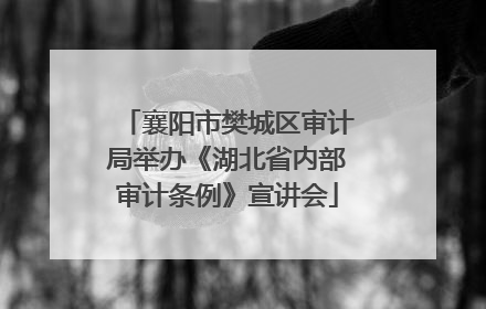 襄阳市樊城区审计局举办《湖北省内部审计条例》宣讲会