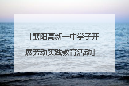 襄阳高新一中学子开展劳动实践教育活动