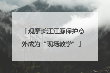 观摩长江江豚保护意外成为“现场教学”