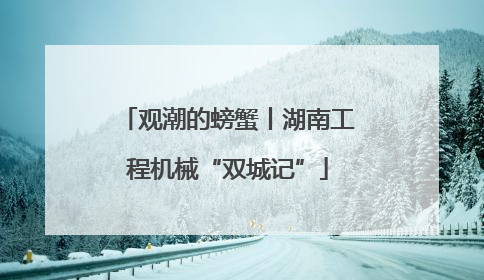 观潮的螃蟹丨湖南工程机械“双城记”