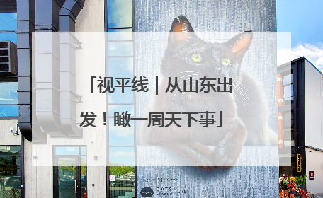 视平线｜从山东出发！瞰一周天下事