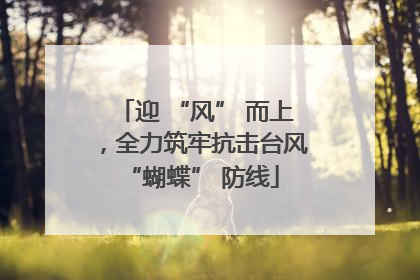 迎 “风” 而上，全力筑牢抗击台风 “蝴蝶” 防线