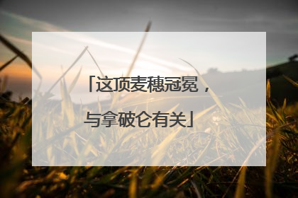 这顶麦穗冠冕，与拿破仑有关