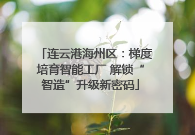 连云港海州区：梯度培育智能工厂 解锁“智造”升级新密码