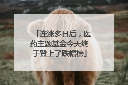 连涨多日后，医药主题基金今天终于登上了跌幅榜