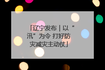 辽宁发布｜以“汛”为令 打好防灾减灾主动仗