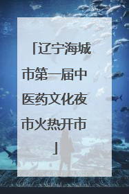 辽宁海城市第一届中医药文化夜市火热开市