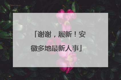 谢谢，履新！安徽多地最新人事