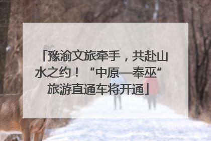 豫渝文旅牵手，共赴山水之约！“中原—奉巫”旅游直通车将开通