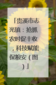 贵溪市志光镇：抢抓农时促丰收，科技赋能保粮安（图）