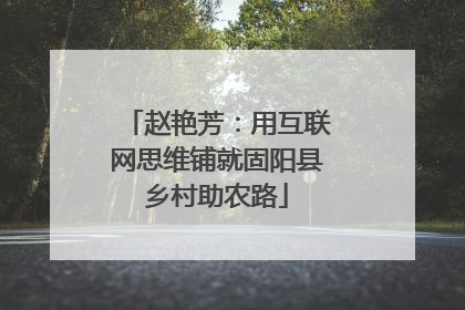 赵艳芳：用互联网思维铺就固阳县乡村助农路