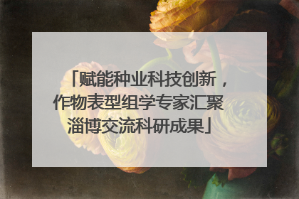 赋能种业科技创新，作物表型组学专家汇聚淄博交流科研成果