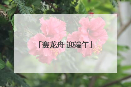 赛龙舟 迎端午