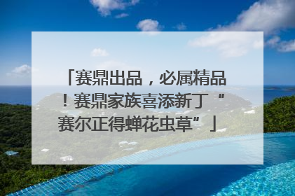 赛鼎出品，必属精品！赛鼎家族喜添新丁“赛尔正得蝉花虫草”