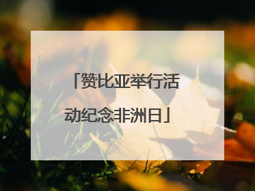 赞比亚举行活动纪念非洲日