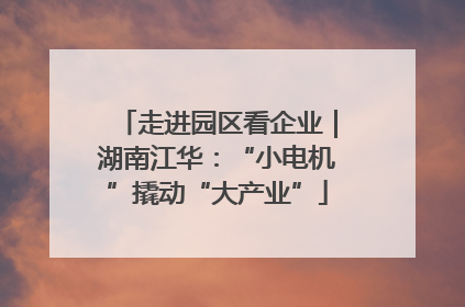 走进园区看企业｜湖南江华：“小电机”撬动“大产业”