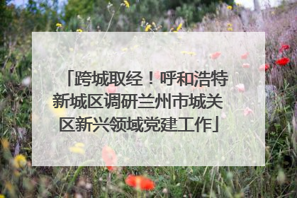 跨城取经！呼和浩特新城区调研兰州市城关区新兴领域党建工作