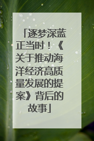 逐梦深蓝正当时！《关于推动海洋经济高质量发展的提案》背后的故事