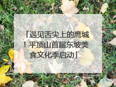 遇见舌尖上的鹰城！平顶山首届东坡美食文化季启动