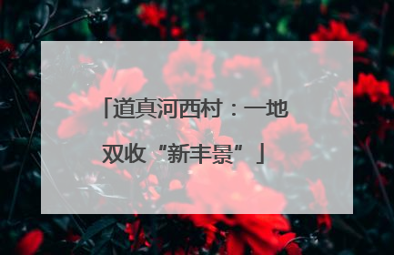 道真河西村：一地双收“新丰景”