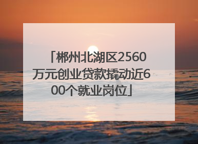 郴州北湖区2560万元创业贷款撬动近600个就业岗位