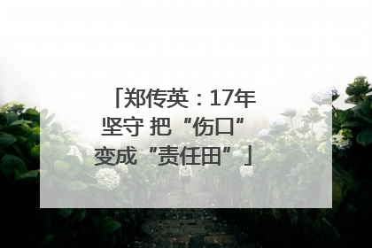 郑传英：17年坚守 把“伤口”变成“责任田”