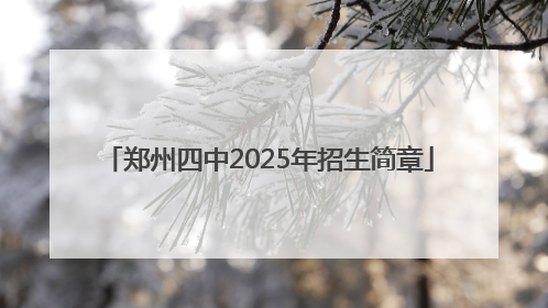 郑州四中2025年招生简章