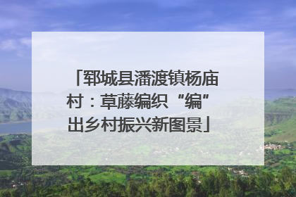 郓城县潘渡镇杨庙村：草藤编织“编”出乡村振兴新图景