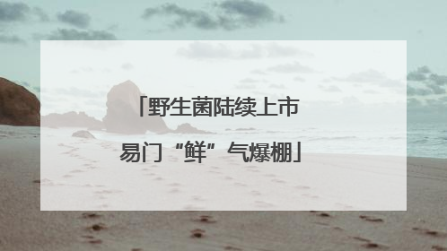 野生菌陆续上市 易门“鲜”气爆棚