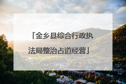 金乡县综合行政执法局整治占道经营