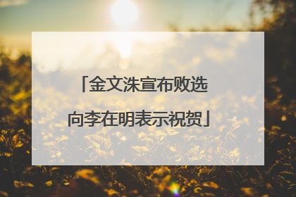 金文洙宣布败选 向李在明表示祝贺