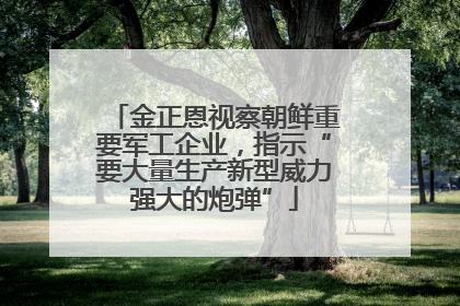 金正恩视察朝鲜重要军工企业，指示“要大量生产新型威力强大的炮弹”