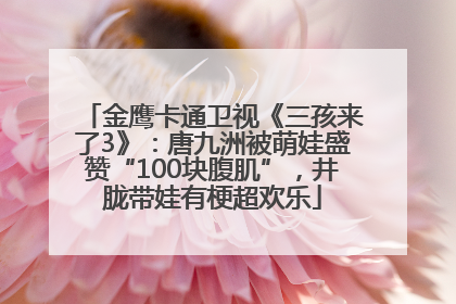 金鹰卡通卫视《三孩来了3》：唐九洲被萌娃盛赞“100块腹肌”，井胧带娃有梗超欢乐
