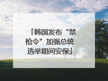 韩国发布“禁枪令”加强总统选举期间安保