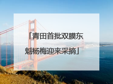 青田首批双膜东魁杨梅迎来采摘