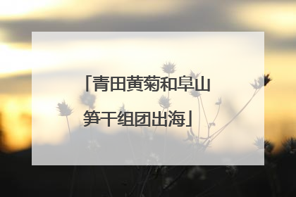 青田黄菊和阜山笋干组团出海