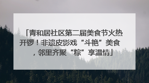 青和居社区第二届美食节火热开锣！非遗皮影戏“斗艳”美食，邻里齐聚“粽”享温情
