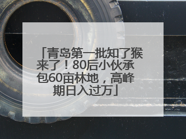 青岛第一批知了猴来了！80后小伙承包60亩林地，高峰期日入过万