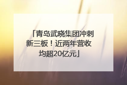 青岛武晓集团冲刺新三板！近两年营收均超20亿元