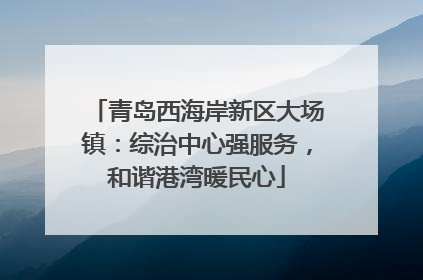青岛西海岸新区大场镇：综治中心强服务，和谐港湾暖民心